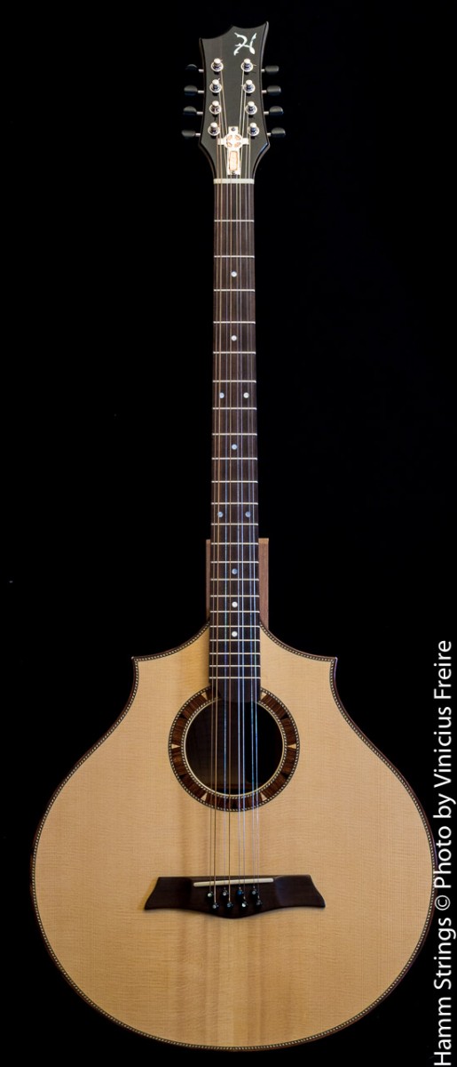 Celtic Bouzouki Order Form Will Hamm Luthier
