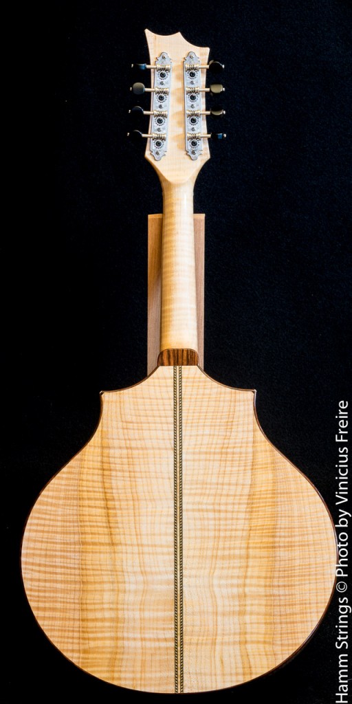 Celtic Mandolin by Hamm Strings