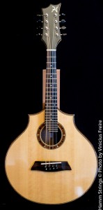 Celtic Mandolin by Hamm Strings