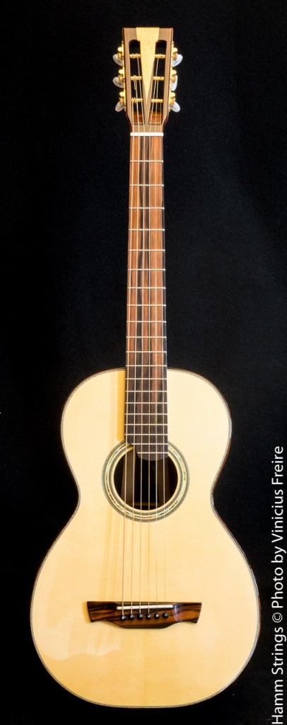 Modified L-00 by Hamm Strings