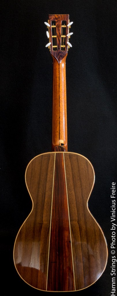 Modified L-00 by Hamm Strings
