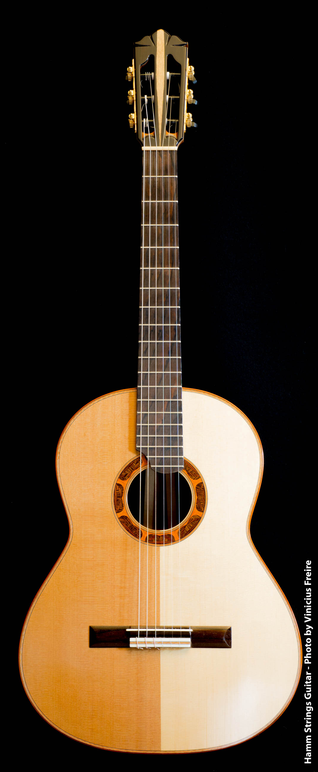 Classical Guitar by Hamm Strings